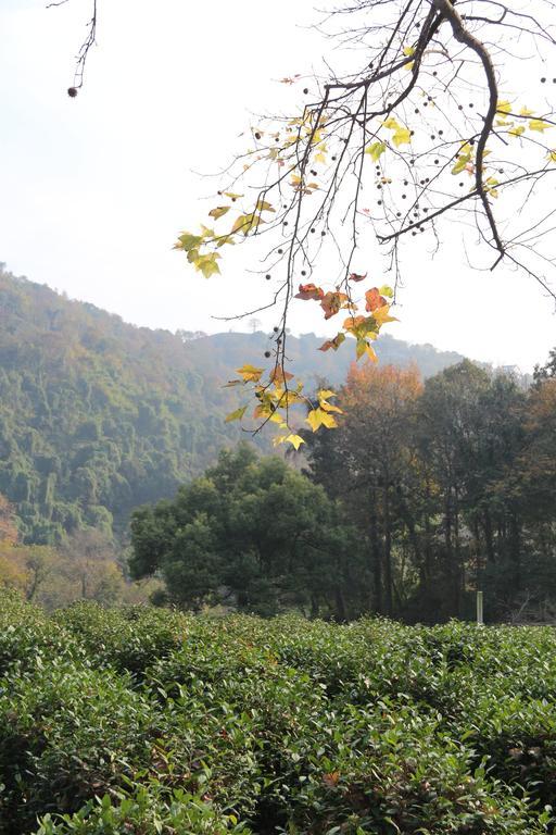 Landison Longjing Resort Hangzhou Esterno foto